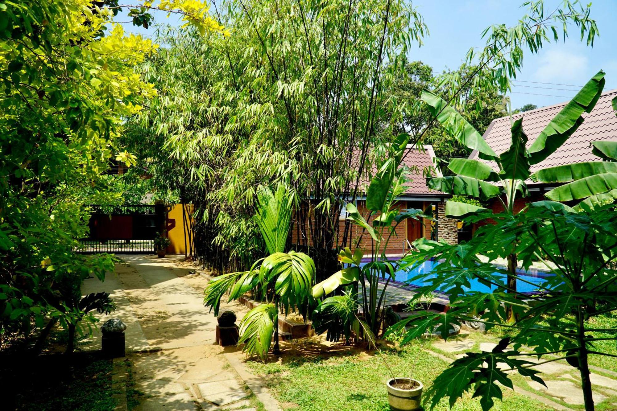 Millet'S Food Company And Cooking Center Hotel Negombo Eksteriør billede