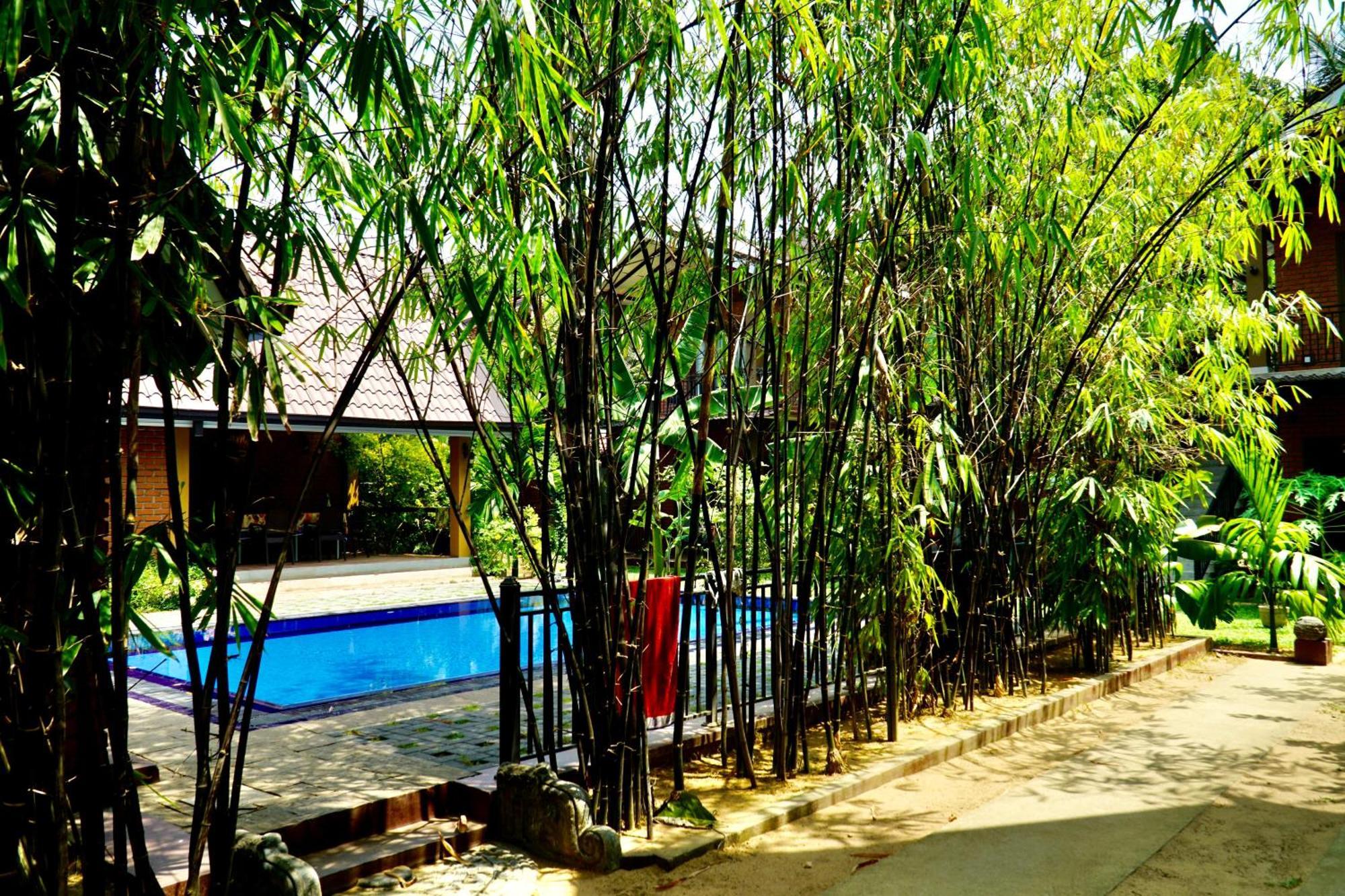Millet'S Food Company And Cooking Center Hotel Negombo Eksteriør billede
