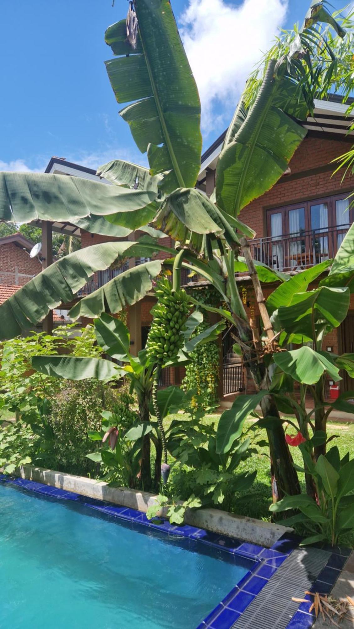 Millet'S Food Company And Cooking Center Hotel Negombo Eksteriør billede