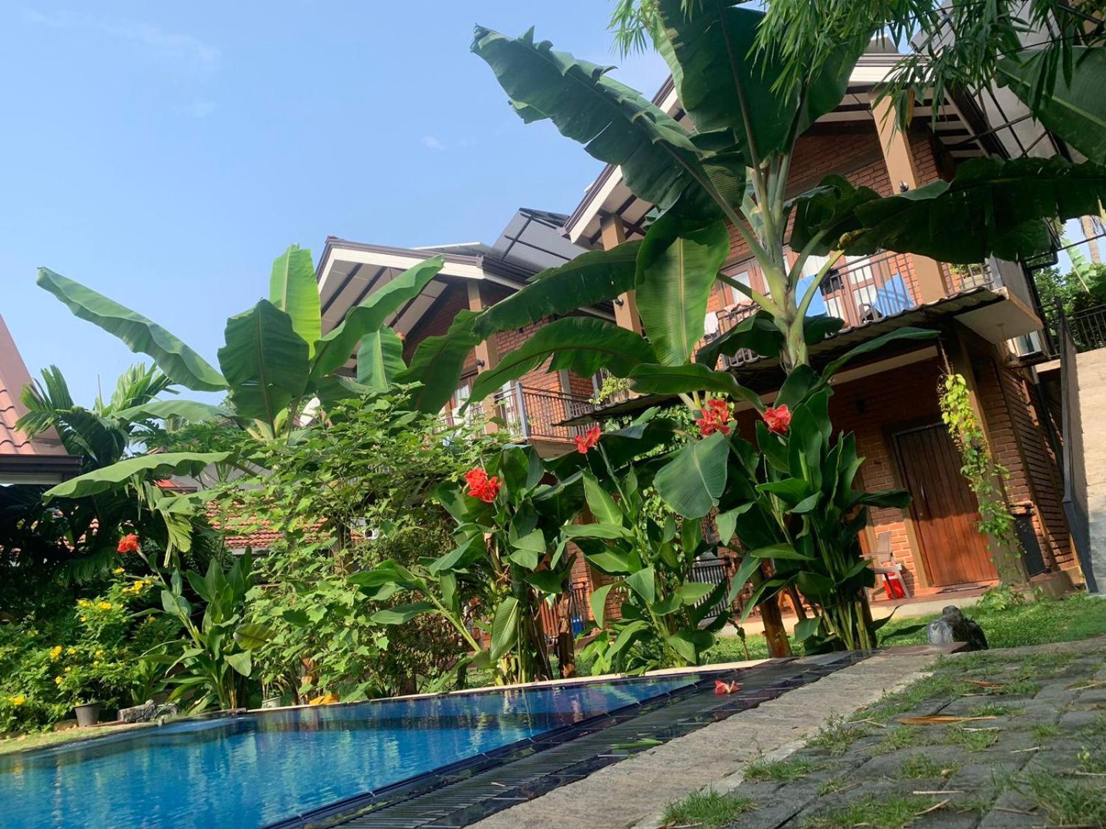Millet'S Food Company And Cooking Center Hotel Negombo Eksteriør billede